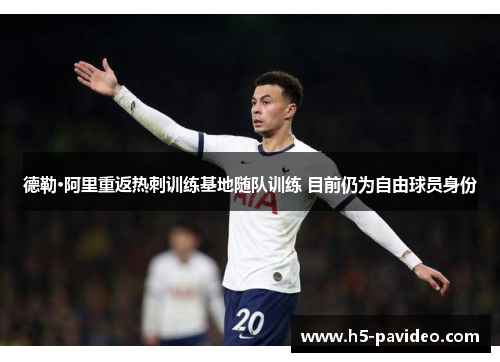 德勒·阿里重返热刺训练基地随队训练 目前仍为自由球员身份