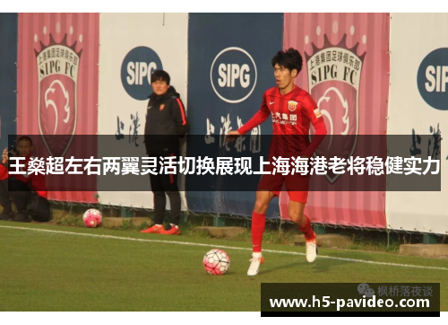 王燊超左右两翼灵活切换展现上海海港老将稳健实力